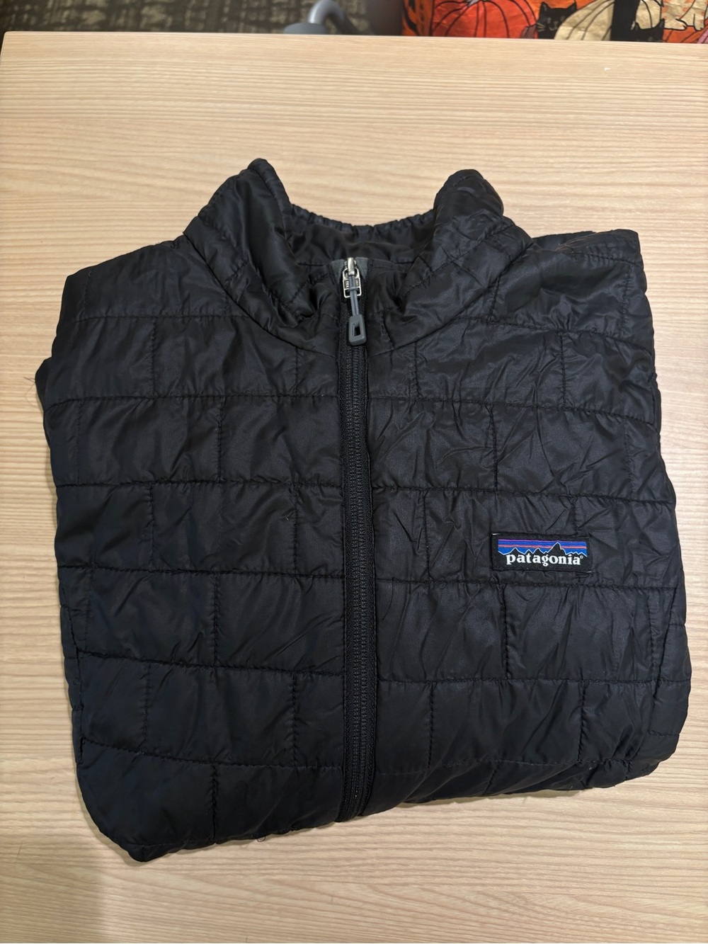Patagonia Women’s Black Nanopuff Jacket
